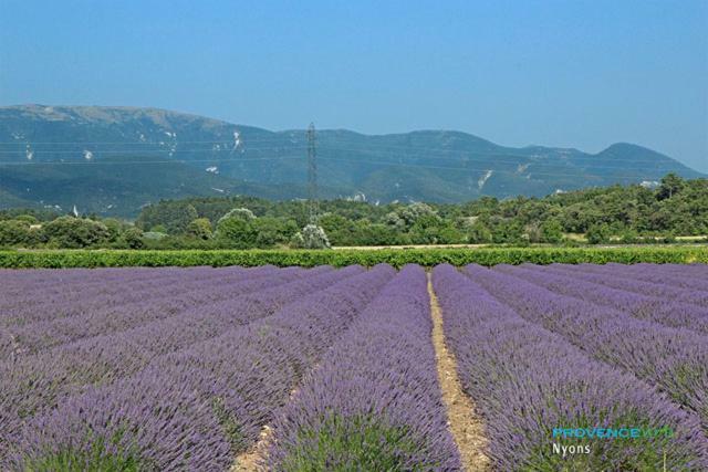 Villa Les Pins Mirabel-aux-Baronnies Buitenkant foto